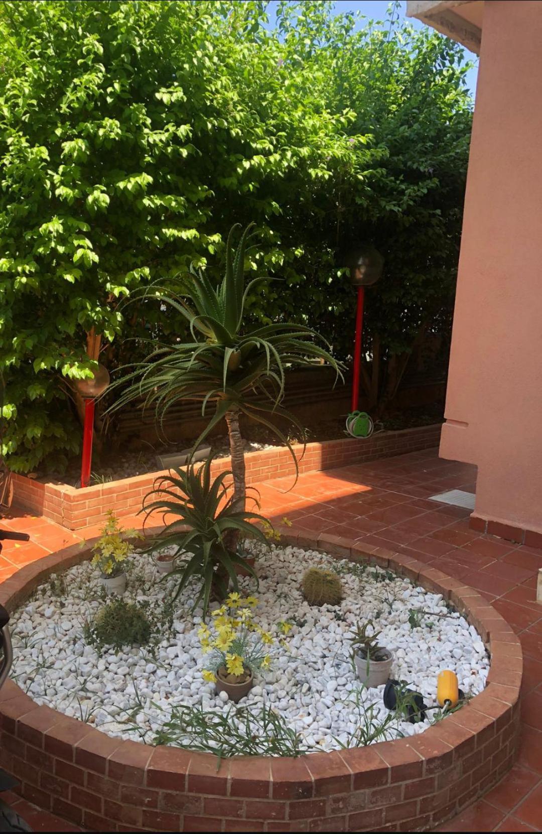 Appartement Mondello House Lemon à Palerme Extérieur photo